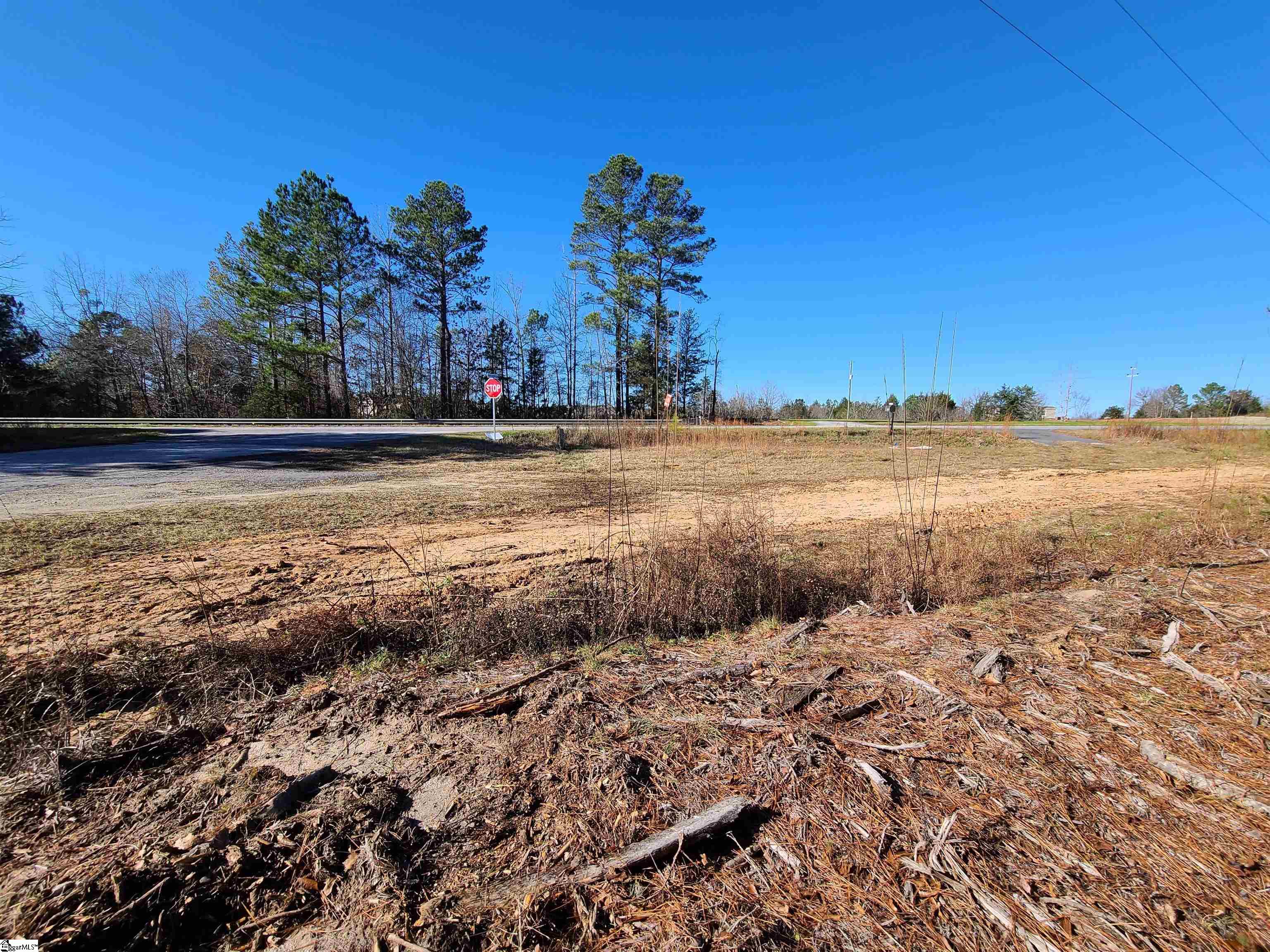 600 Floatella Circle Waterloo, SC 29384 - Photo 7 of 9 Gallery Image 7