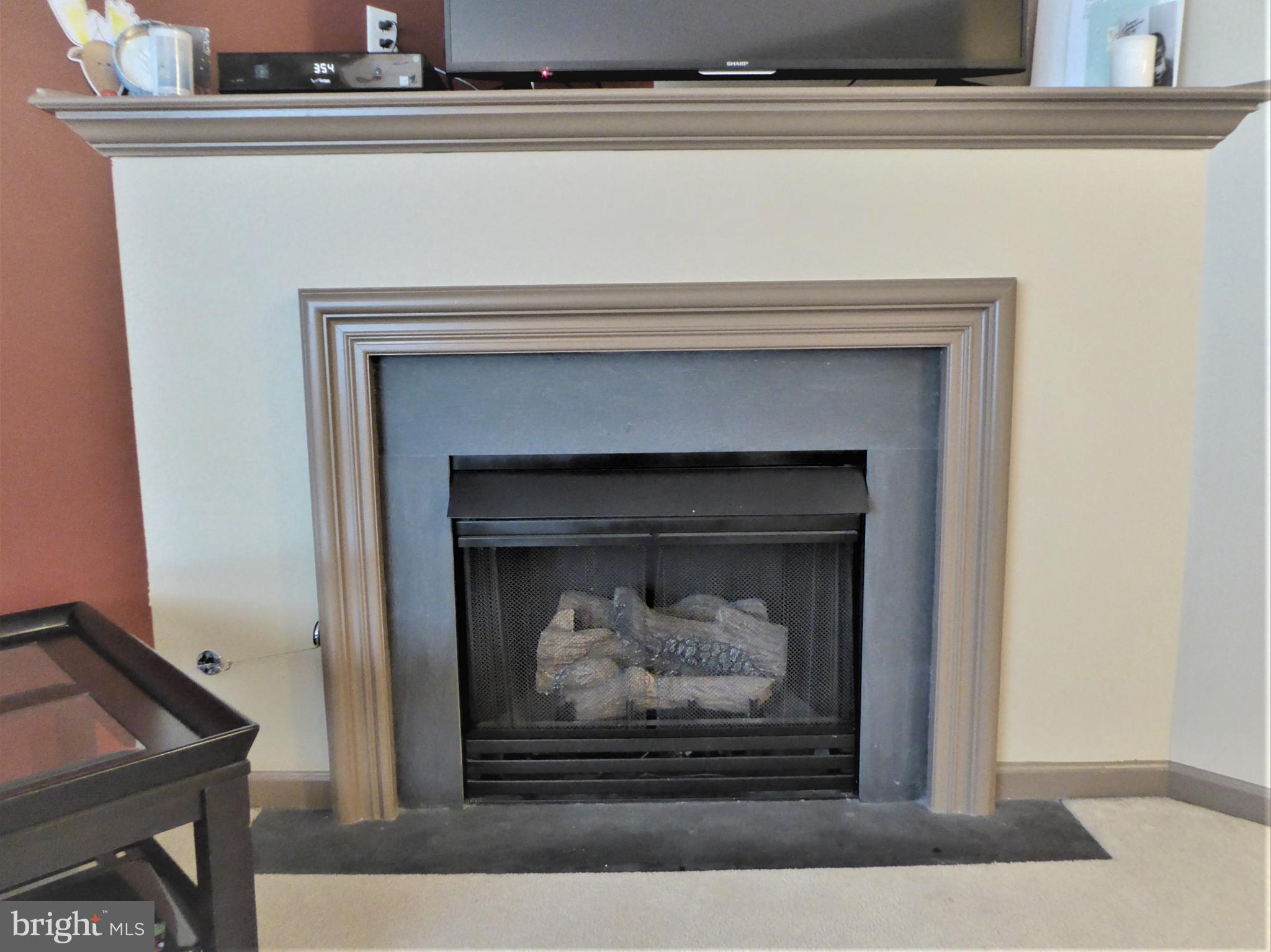 21 Kyle Way Ewing, NJ 08628 - Photo 5 of 22 Enjoy the ambiance of a lovely fireplace.