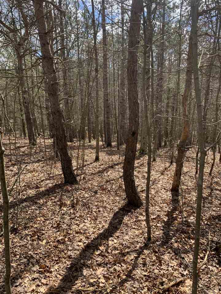 10 East 14 Mile Road Paris, MI 49338 - Photo 1 of 12