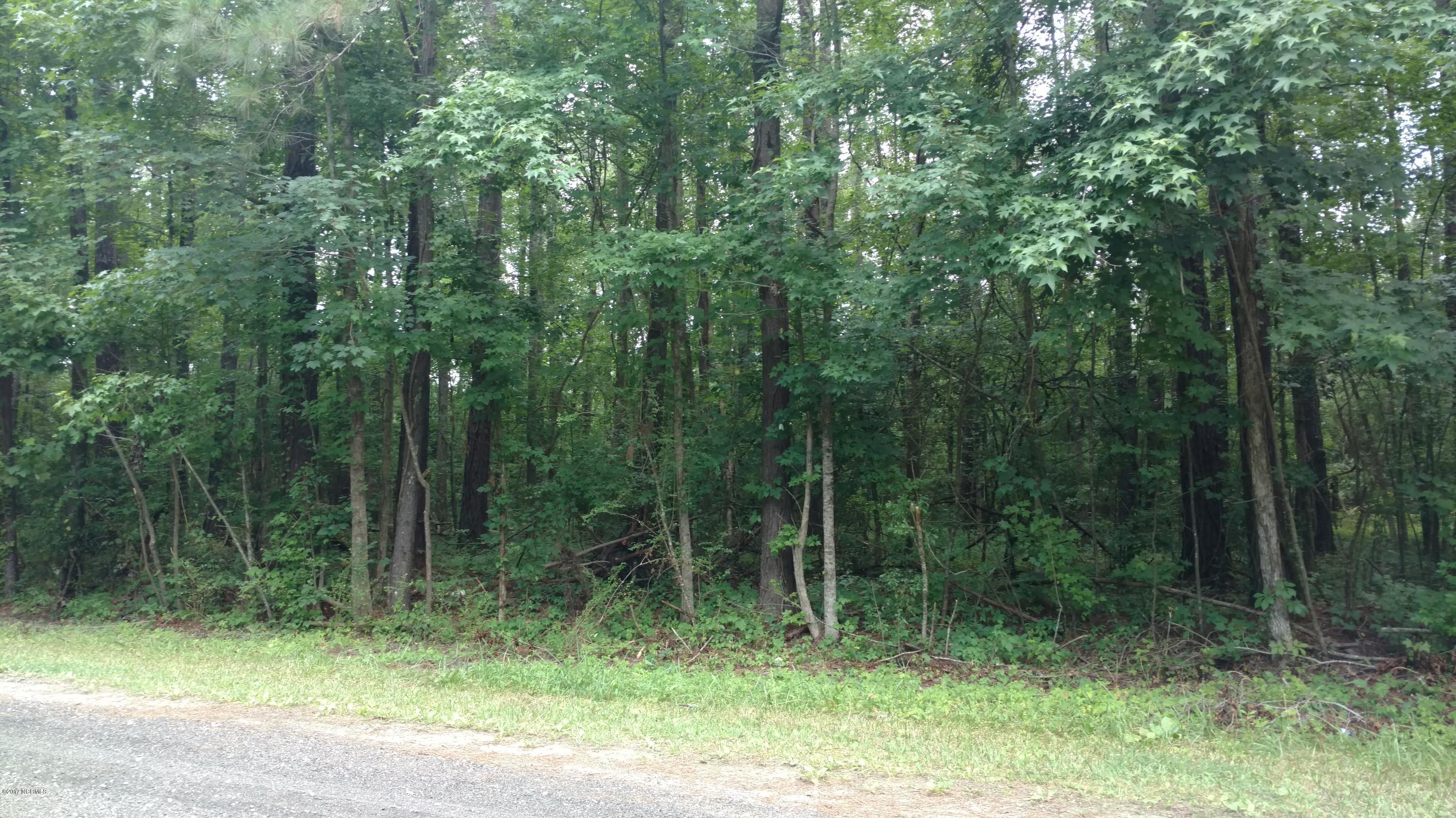 Lot 52 Pond Road Rocky Point, NC 28457 - Photo 3 of 6 IMG_20170615_133852613 (1)