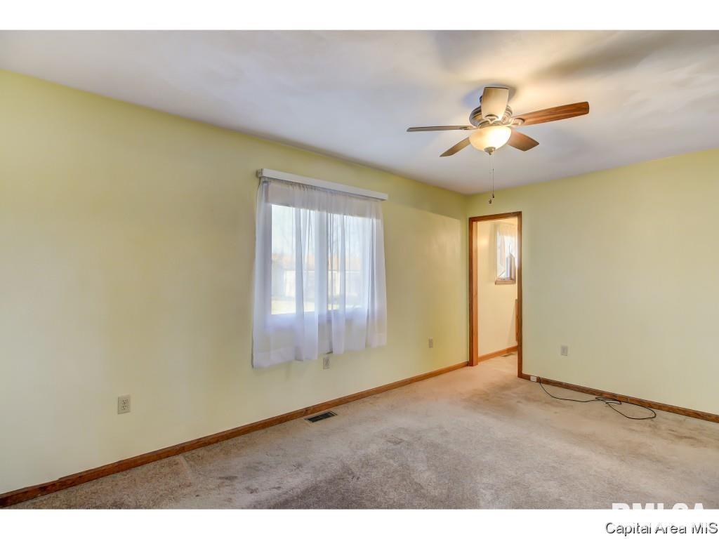 9287 Lost Spring Road Dawson, IL 62520 - Photo 19 of 36 Gallery Image 19