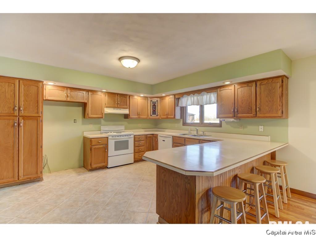 9287 Lost Spring Road Dawson, IL 62520 - Photo 3 of 36 Gallery Image 3