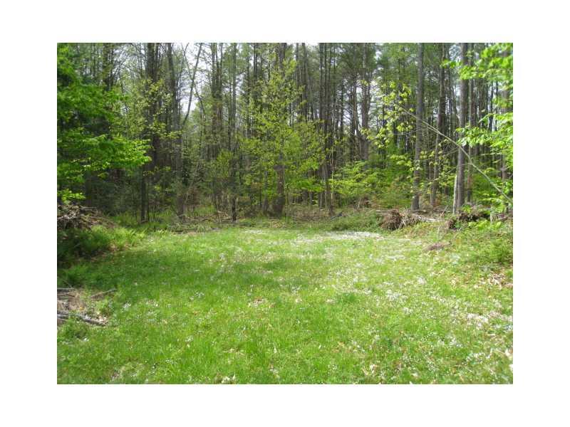 1251 Hallowell Road Durham, ME 04222 - Photo 9 of 9 Yard/Garden.