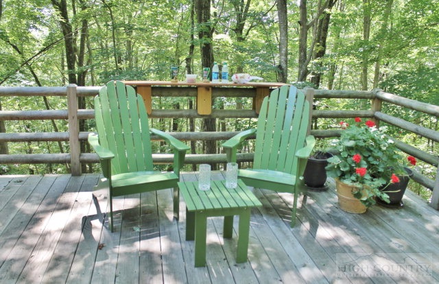 663 Homestead Road Todd, NC 28684 - Photo 9 of 21 Gallery Image 9