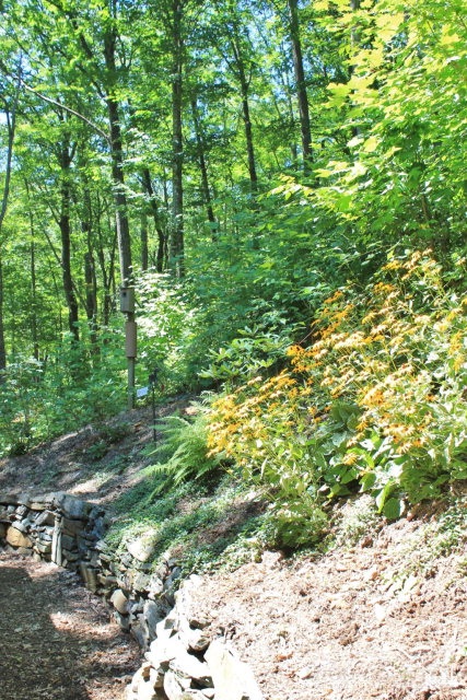 663 Homestead Road Todd, NC 28684 - Photo 10 of 21 Gallery Image 10