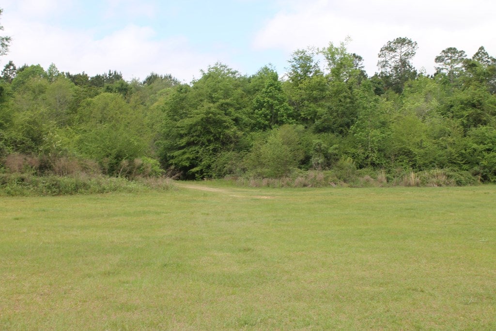 751 Carters Mill Road Barney, GA 31625 - Photo 6 of 11 Gallery Image 6