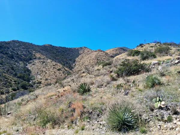 $180,000 | 50 Limited Use-access, Unit 23, Dragoon, AZ 85609