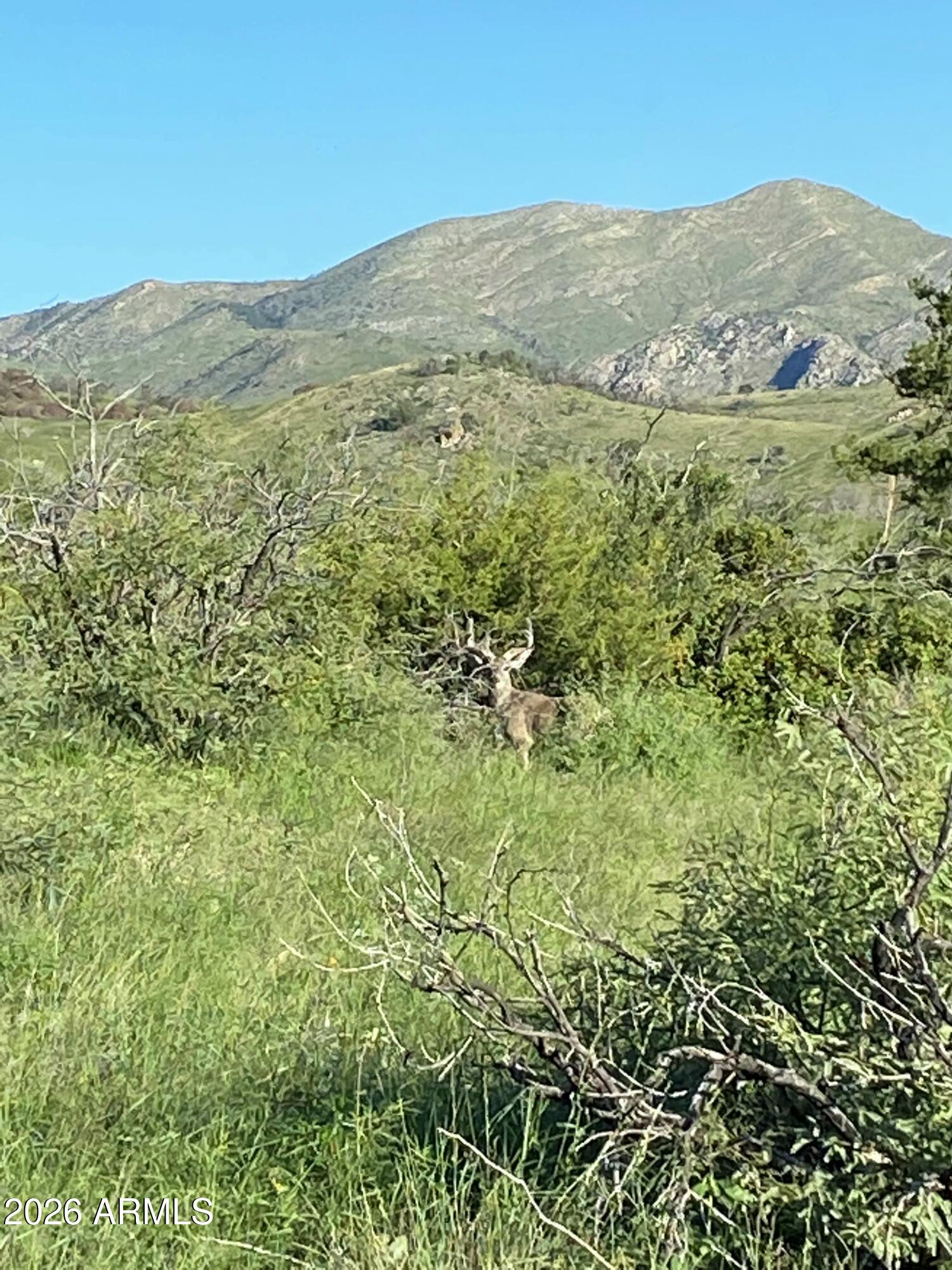 50 Limited Use-access, Unit 23 Dragoon, AZ 85609 - Photo 6 of 28 IMG_20260311_160138