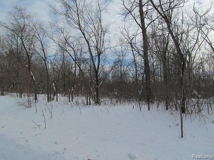 0 Gregory Road Lake Orion, MI 48359 - Photo 5 of 19 Wooded Views.jpg