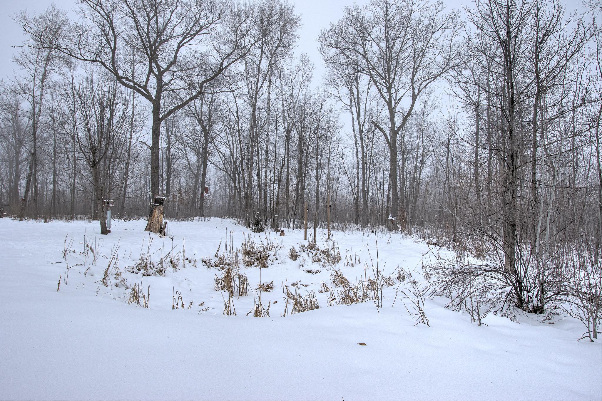 2680 Olympic Street Brook Park, MN 55007 - Photo 30 of 40