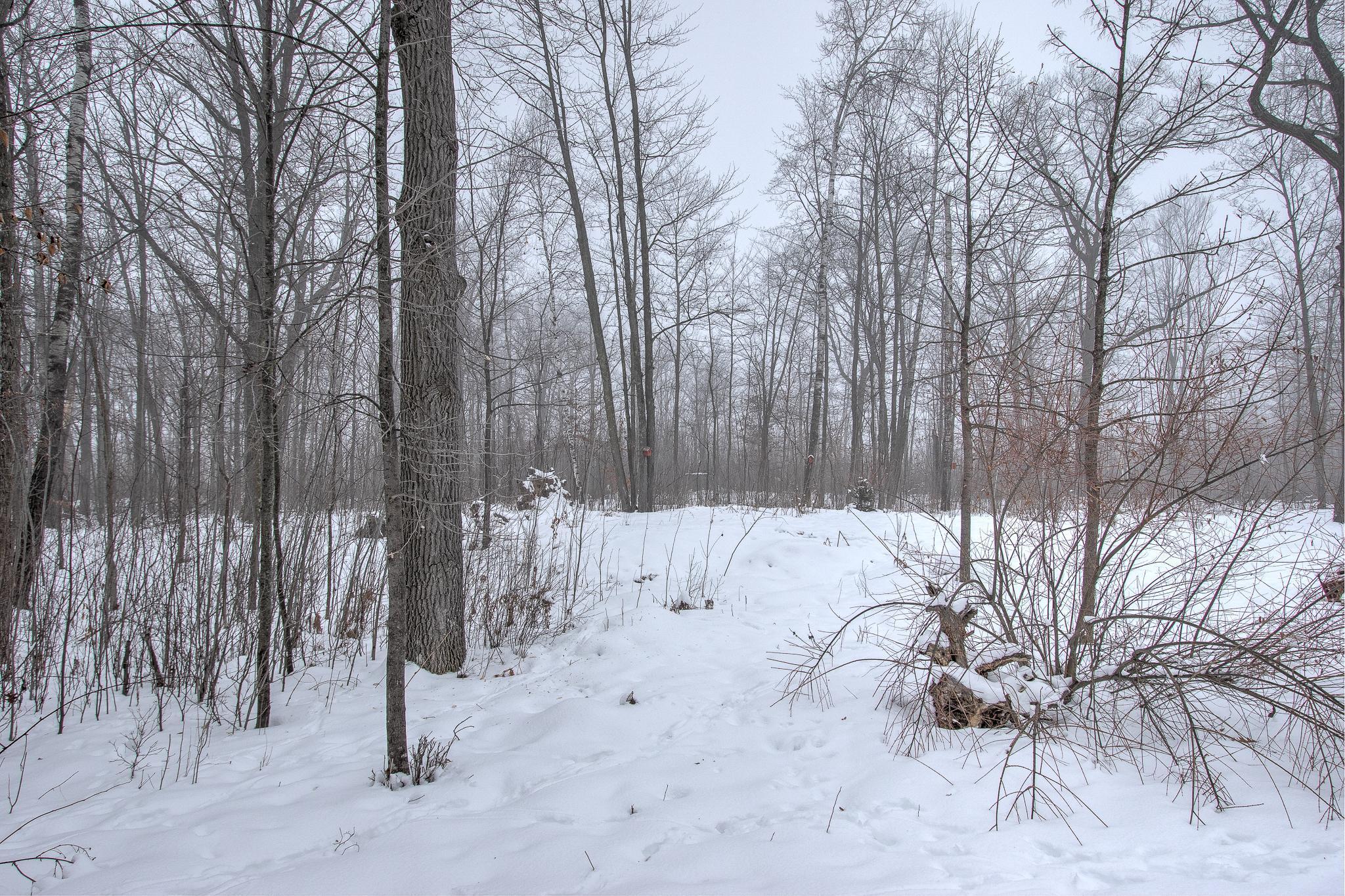 2680 Olympic Street Brook Park, MN 55007 - Photo 35 of 40