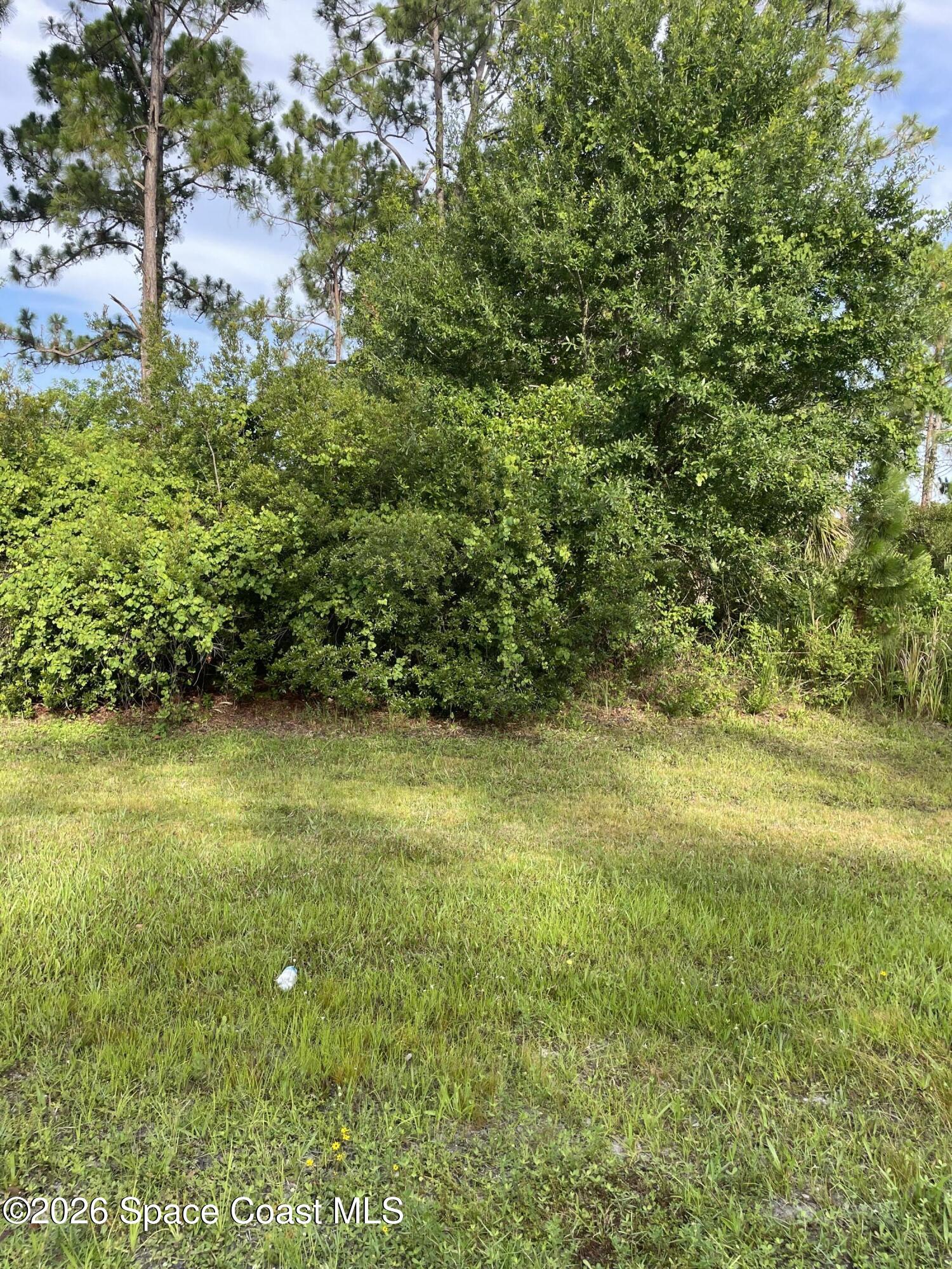 0 Unknown Boulevard Palm Bay, FL 32905 - Photo 3 of 8 a view of a yard with a tree