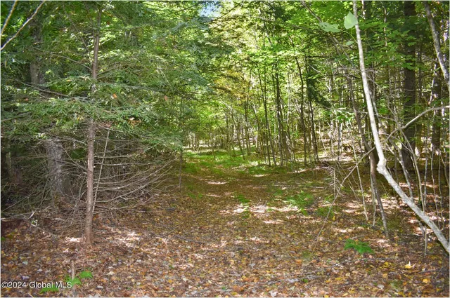 $74,900 | 102 Carriage Knoll Road, Chestertown, NY 12817