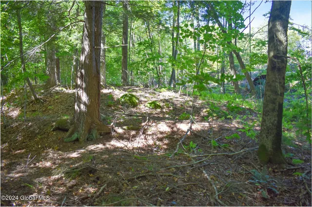 $74,900 | 102 Carriage Knoll Road, Chestertown, NY 12817