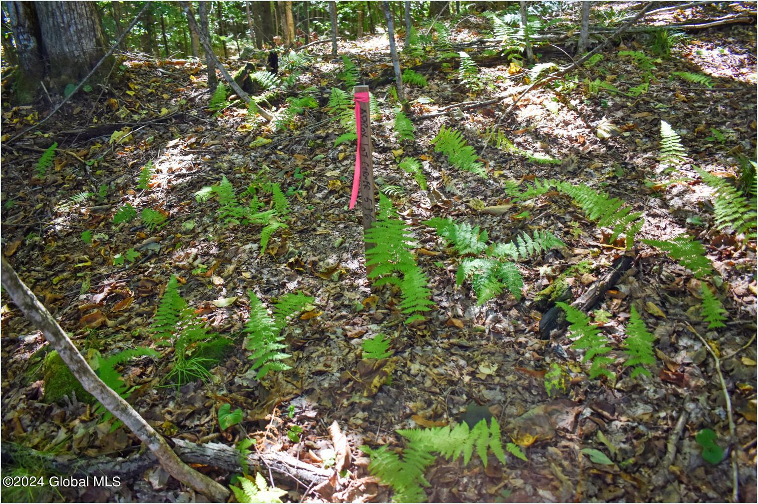 102 Carriage Knoll Road Chestertown, NY 12817 - Photo 13 of 24 102k