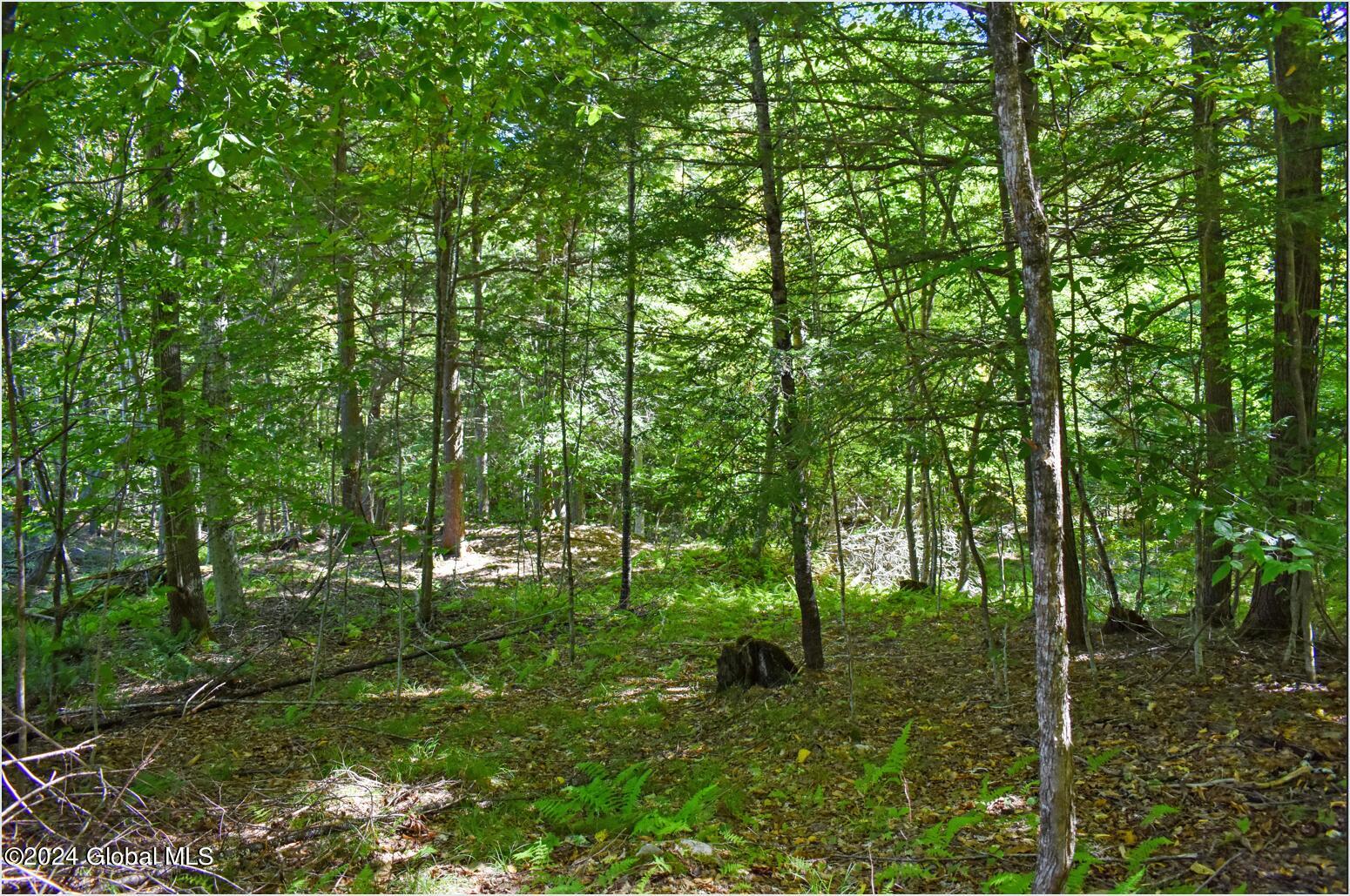 102 Carriage Knoll Road Chestertown, NY 12817 - Photo 14 of 24 102l