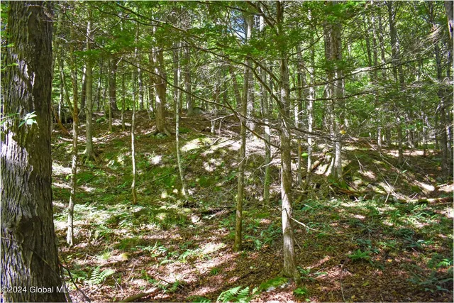 $74,900 | 102 Carriage Knoll Road, Chestertown, NY 12817