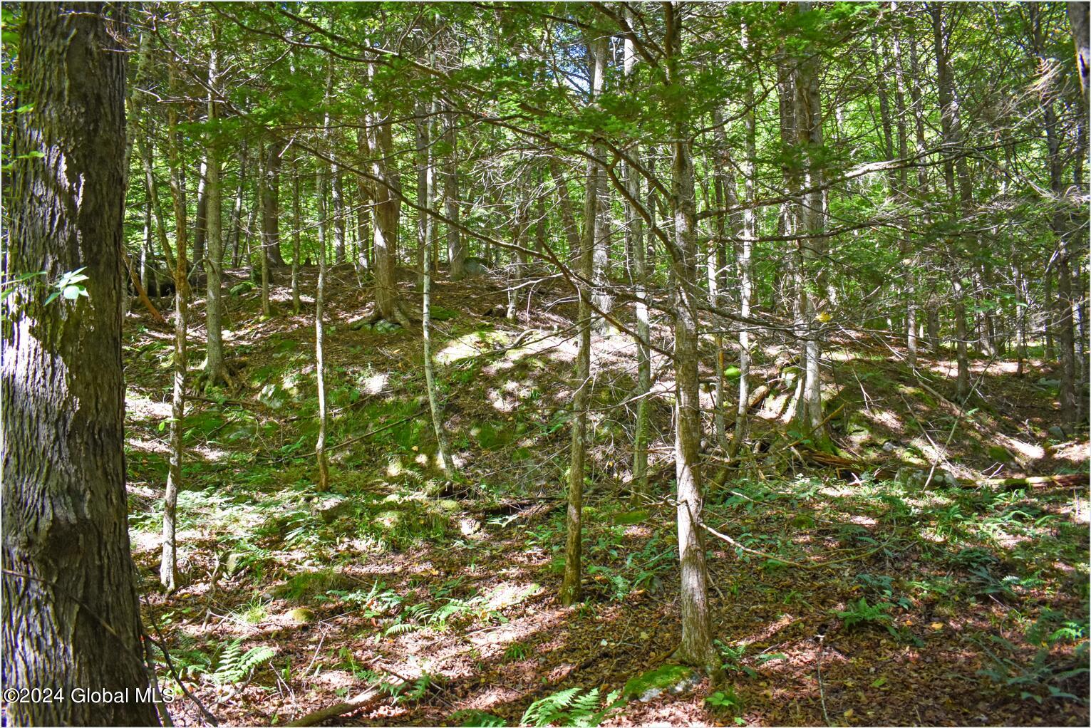 102 Carriage Knoll Road Chestertown, NY 12817 - Photo 15 of 24 102a