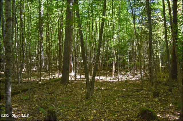 $74,900 | 102 Carriage Knoll Road, Chestertown, NY 12817