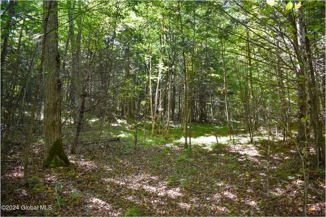 $74,900 | 102 Carriage Knoll Road, Chestertown, NY 12817