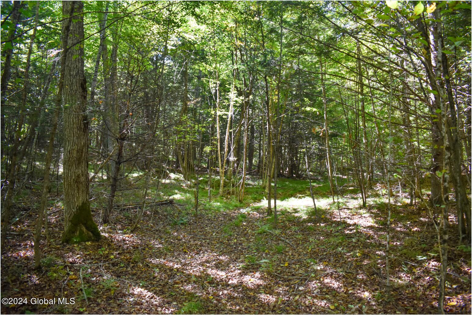 102 Carriage Knoll Road Chestertown, NY 12817 - Photo 19 of 24 102g