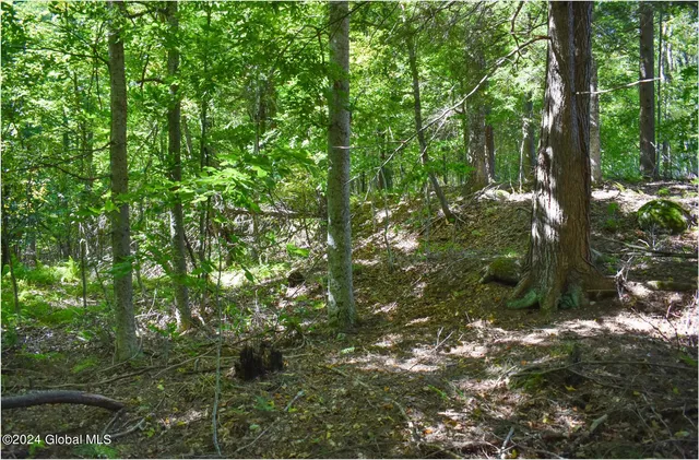 $74,900 | 102 Carriage Knoll Road, Chestertown, NY 12817