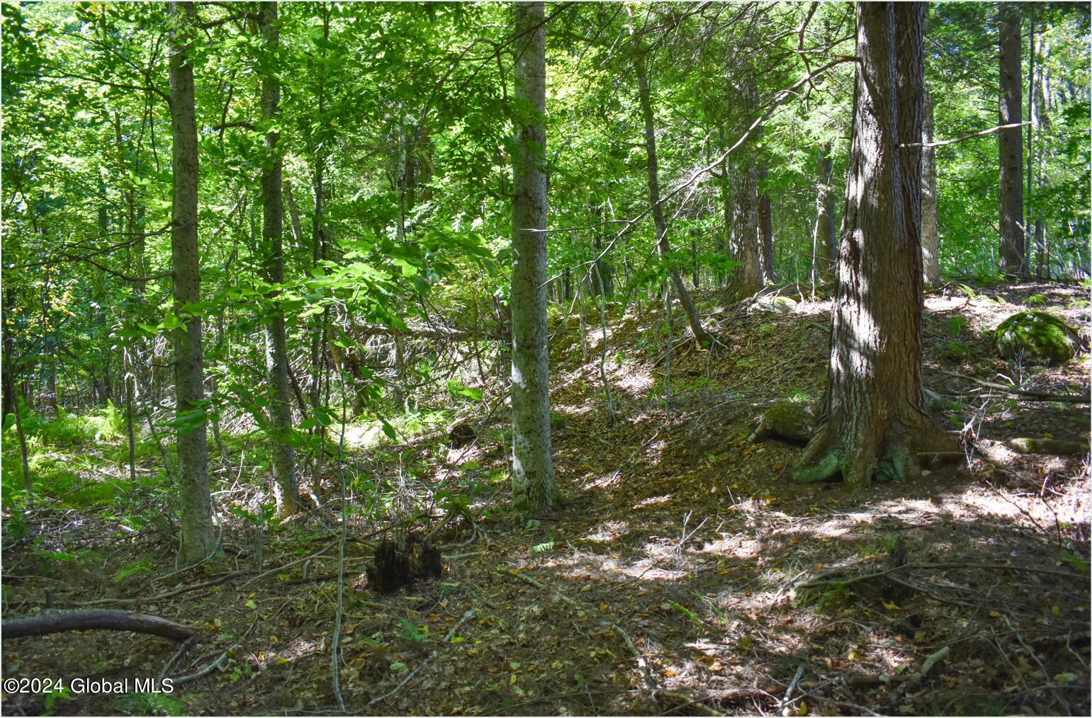 102 Carriage Knoll Road Chestertown, NY 12817 - Photo 23 of 24 102i