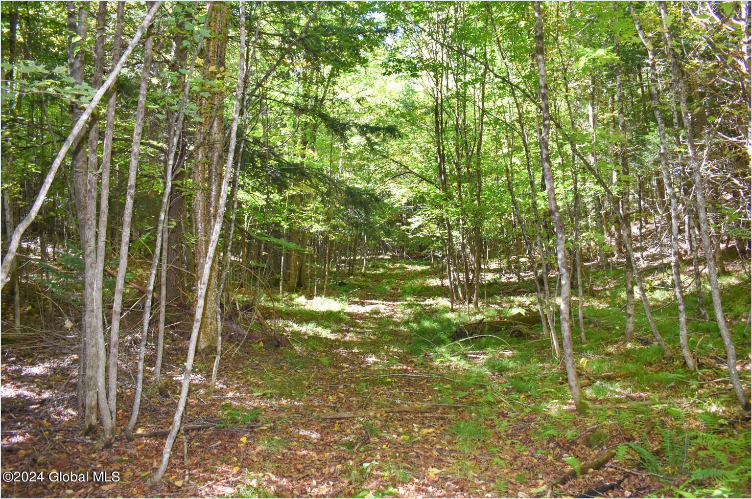 102 Carriage Knoll Road Chestertown, NY 12817 - Photo 7 of 24 102d