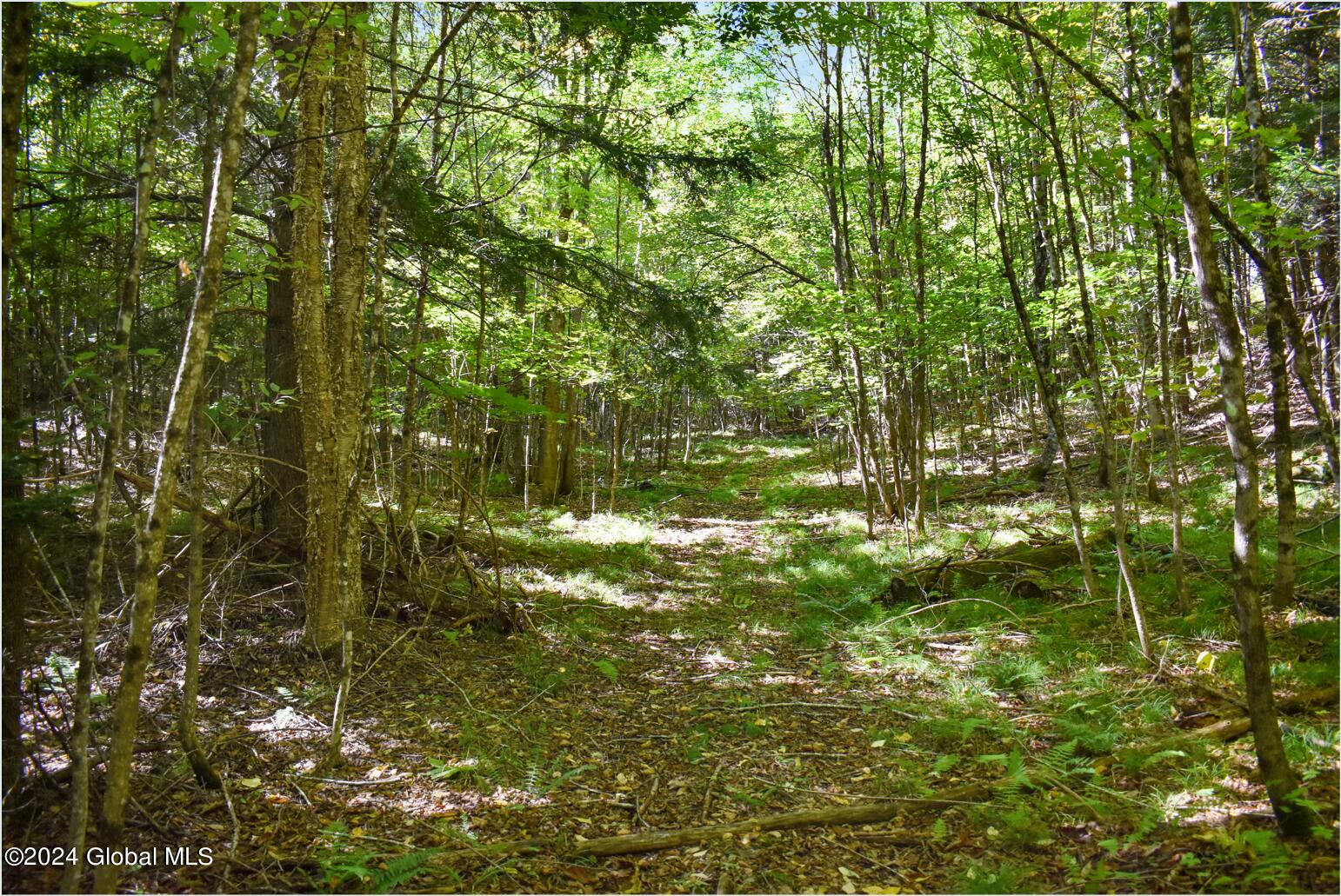 102 Carriage Knoll Road Chestertown, NY 12817 - Photo 8 of 24 102e