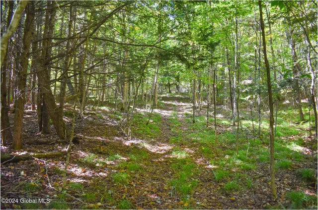 $74,900 | 102 Carriage Knoll Road, Chestertown, NY 12817