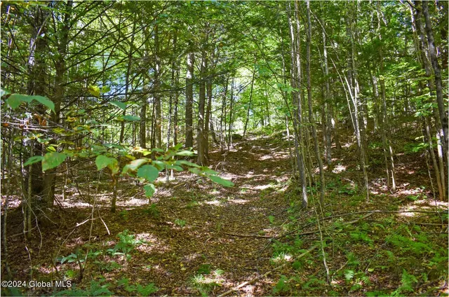 $74,900 | 102 Carriage Knoll Road, Chestertown, NY 12817