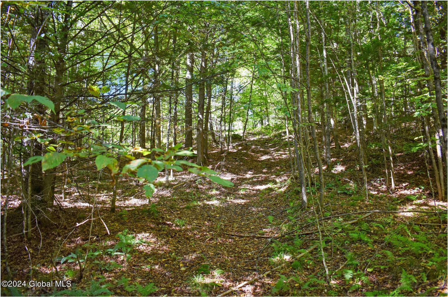 102 Carriage Knoll Road Chestertown, NY 12817 - Photo 10 of 24 102f