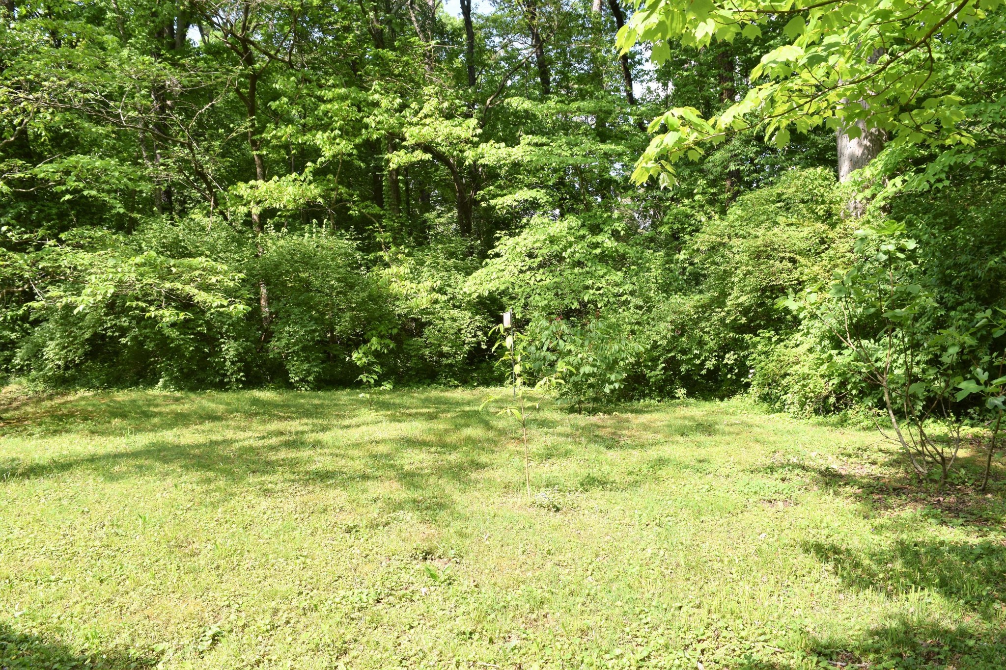 4814 Sunset Road West Knoxville, TN 37914 - Photo 8 of 27 Gallery Image 8