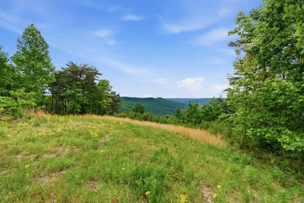 $399,000 | 2750 B Browns Trace Road, Sherwood, TN 37376
