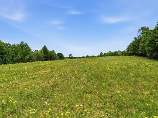 $399,000 | 2750 B Browns Trace Road, Sherwood, TN 37376