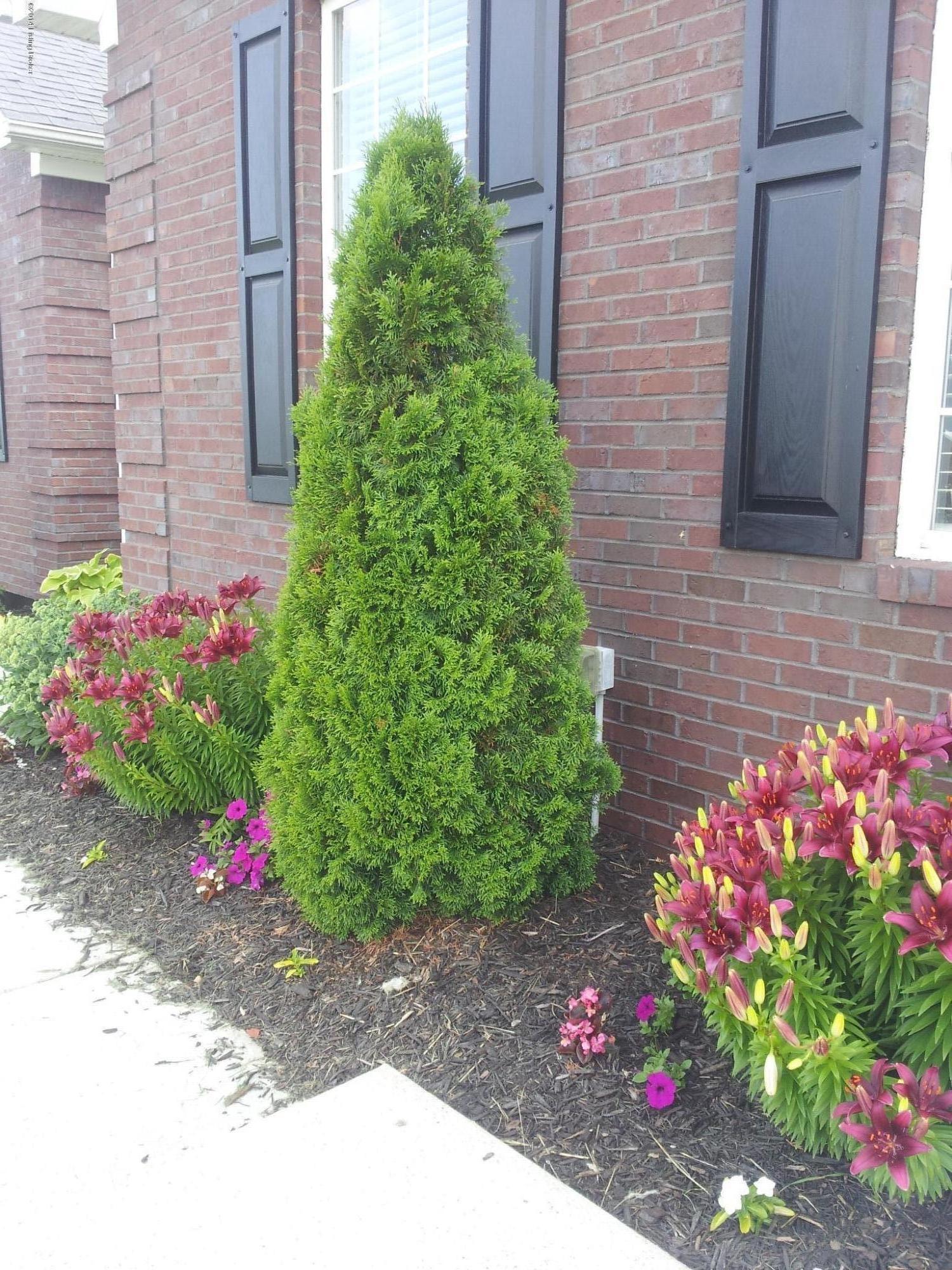 landscaping in the front of house