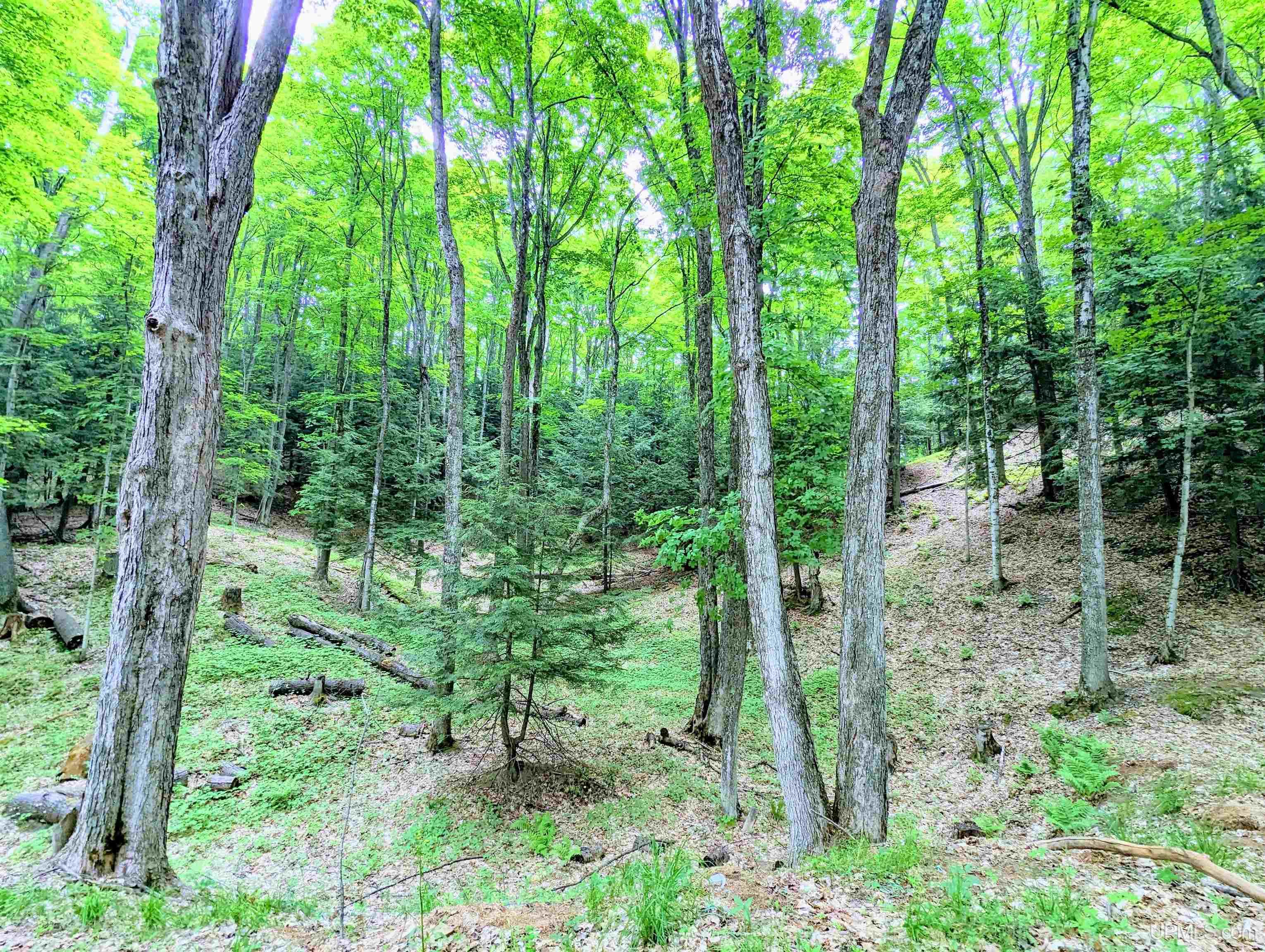 975 Valley Road Marquette, MI 49855 - Photo 68 of 71 Gallery Image 68