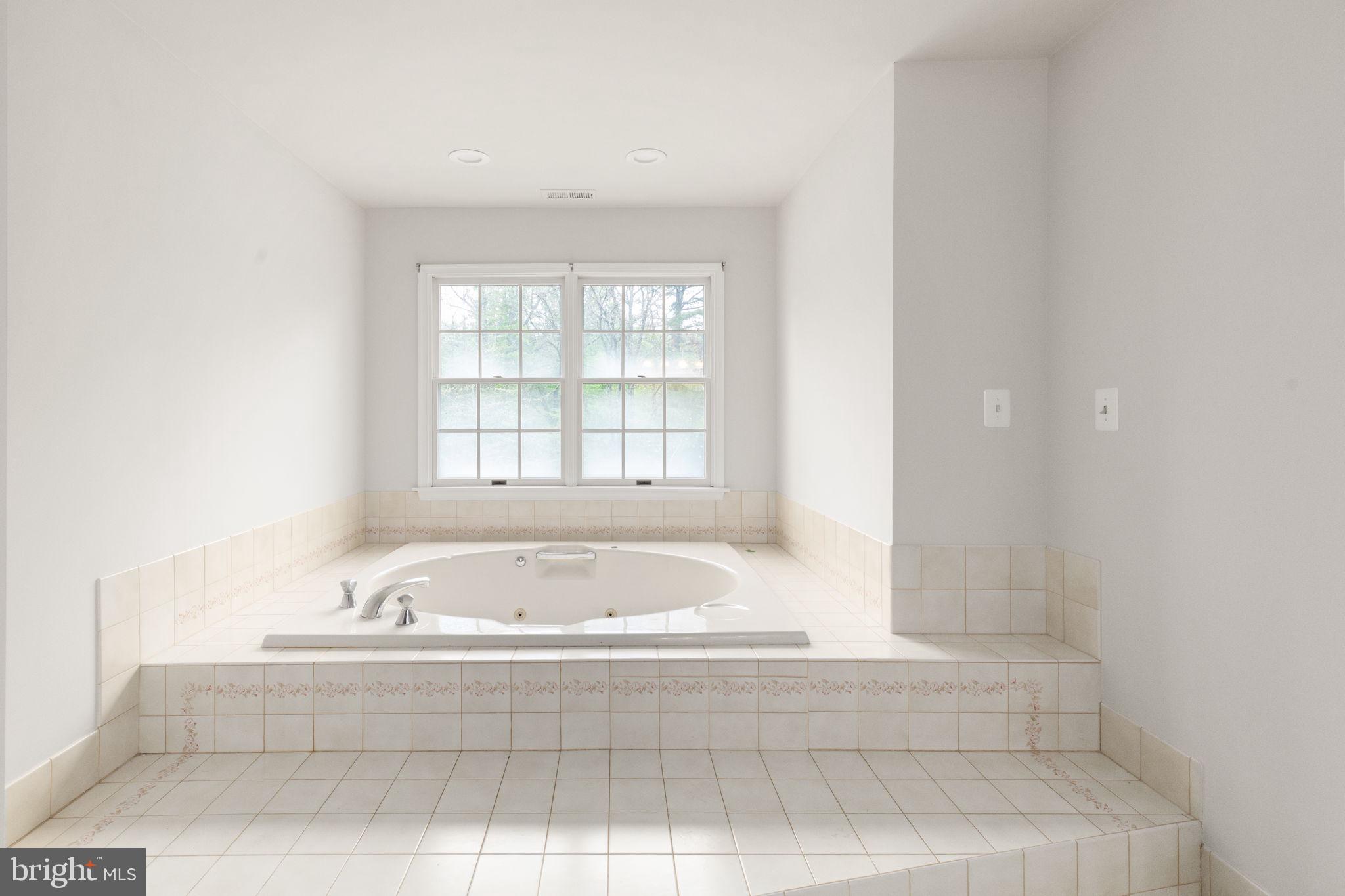 14613 Philpot Road Phoenix, MD 21131 - Photo 32 of 69 Master Bath