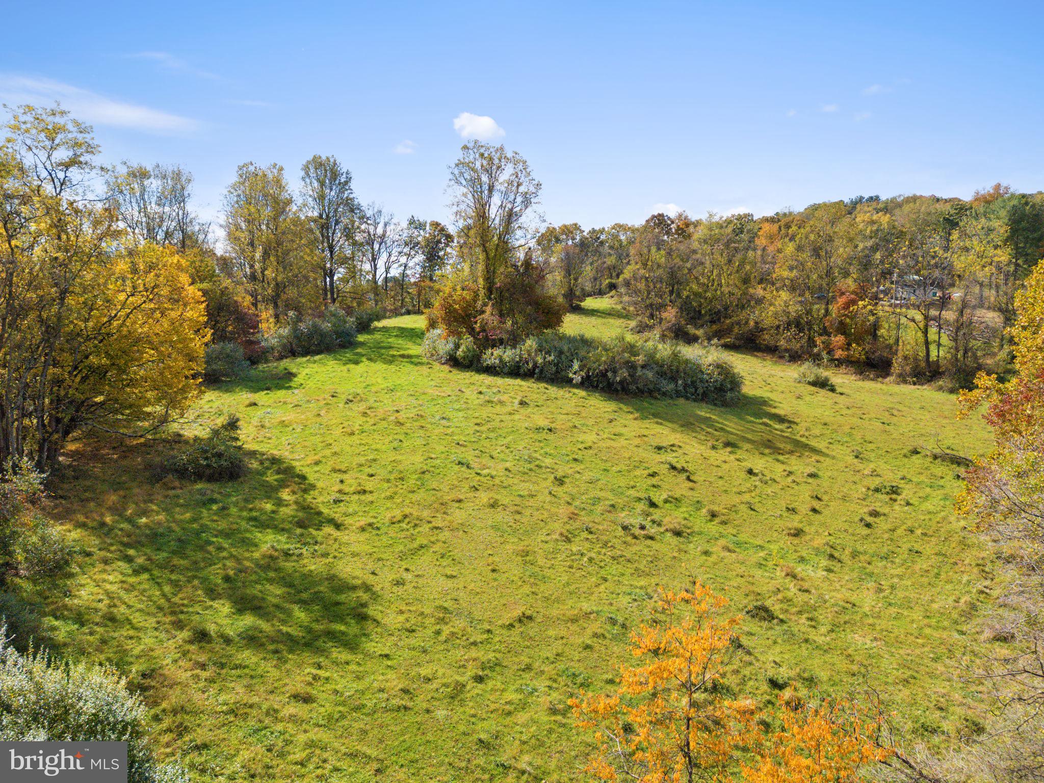 0 Moreland Road Delaplane, VA 20144 - Photo 13 of 30 a view of a yard with an trees