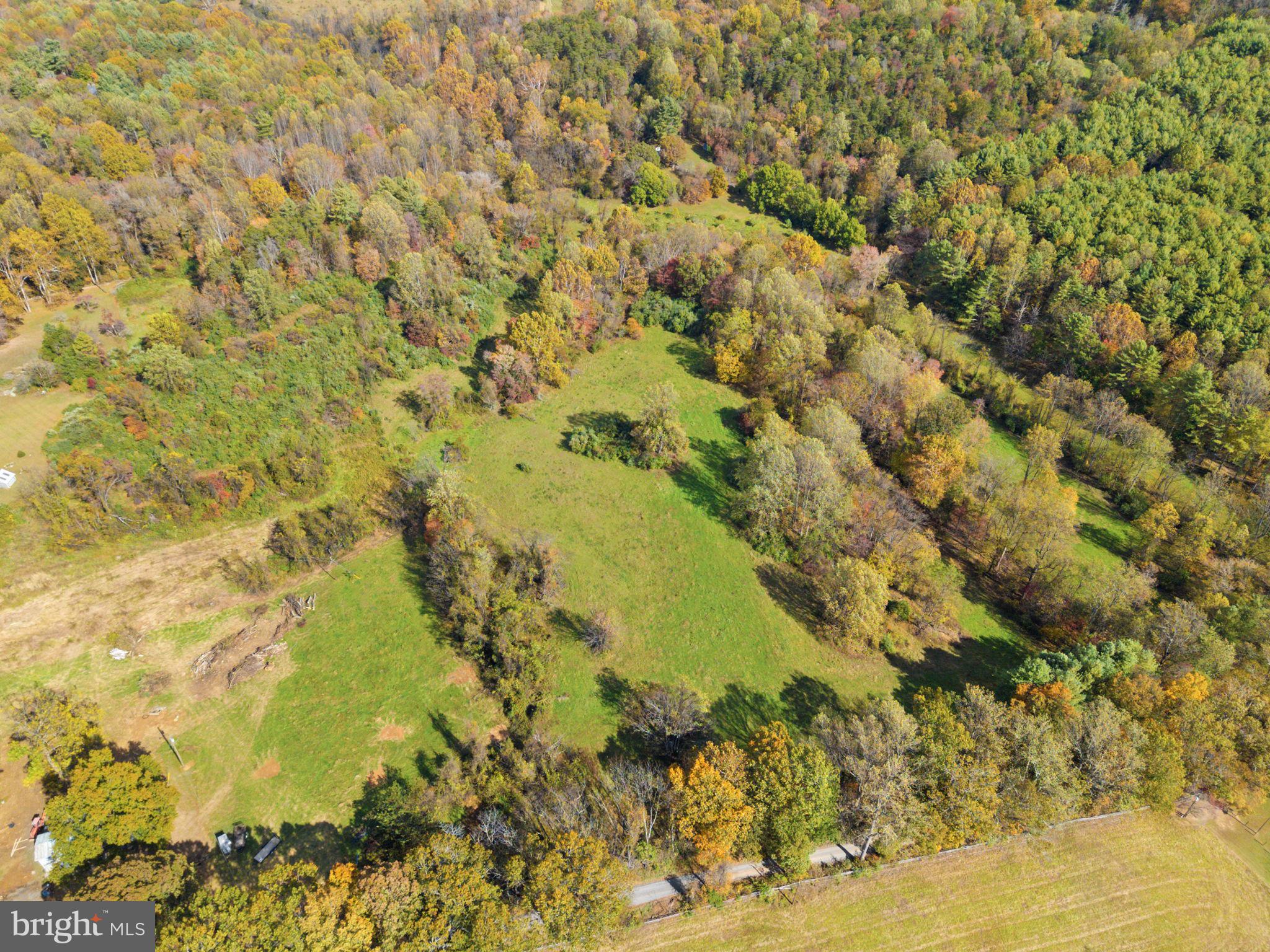 0 Moreland Road Delaplane, VA 20144 - Photo 26 of 30 a view of a yard with a tree