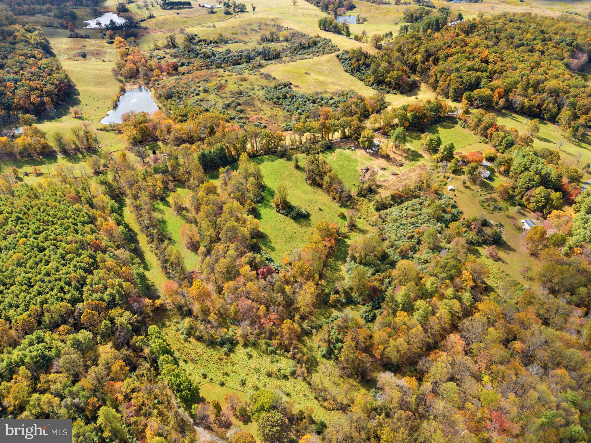0 Moreland Road Delaplane, VA 20144 - Photo 28 of 30 a view of a yard