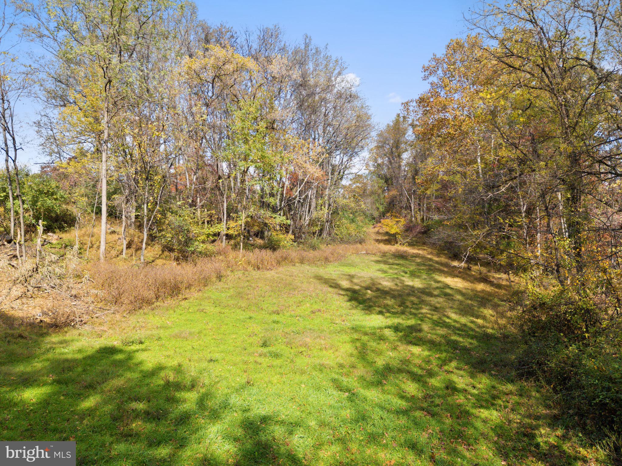0 Moreland Road Delaplane, VA 20144 - Photo 6 of 30 a view of yard with trees