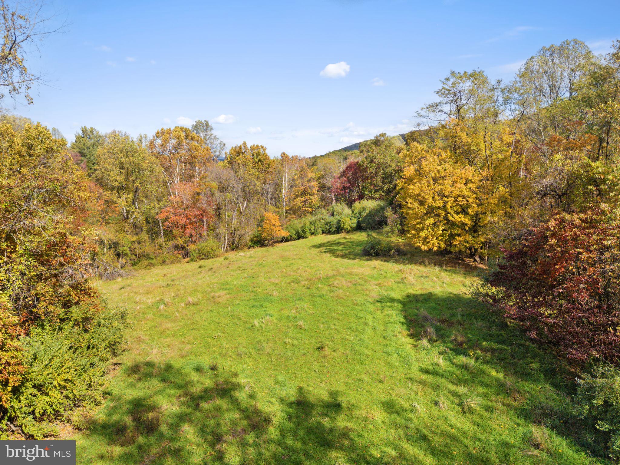 0 Moreland Road Delaplane, VA 20144 - Photo 8 of 30 a view of a yard with a tree