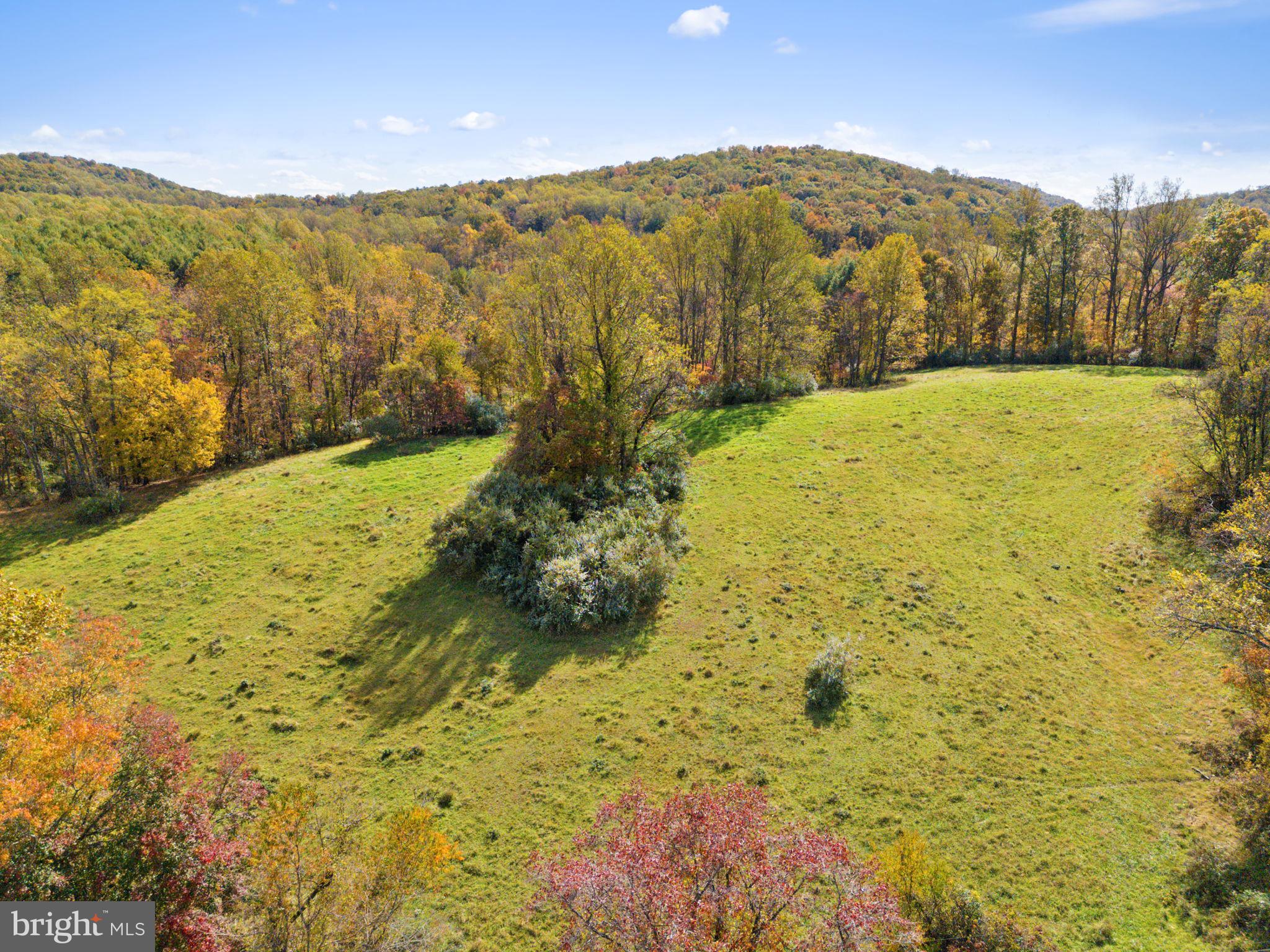 0 Moreland Road Delaplane, VA 20144 - Photo 10 of 30