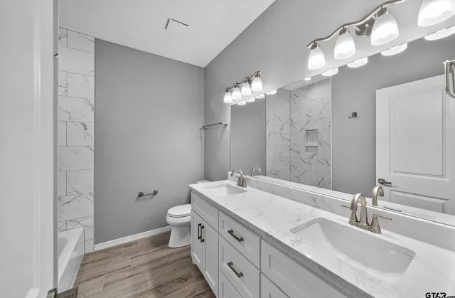 a bathroom with a double vanity sink mirror and toilet