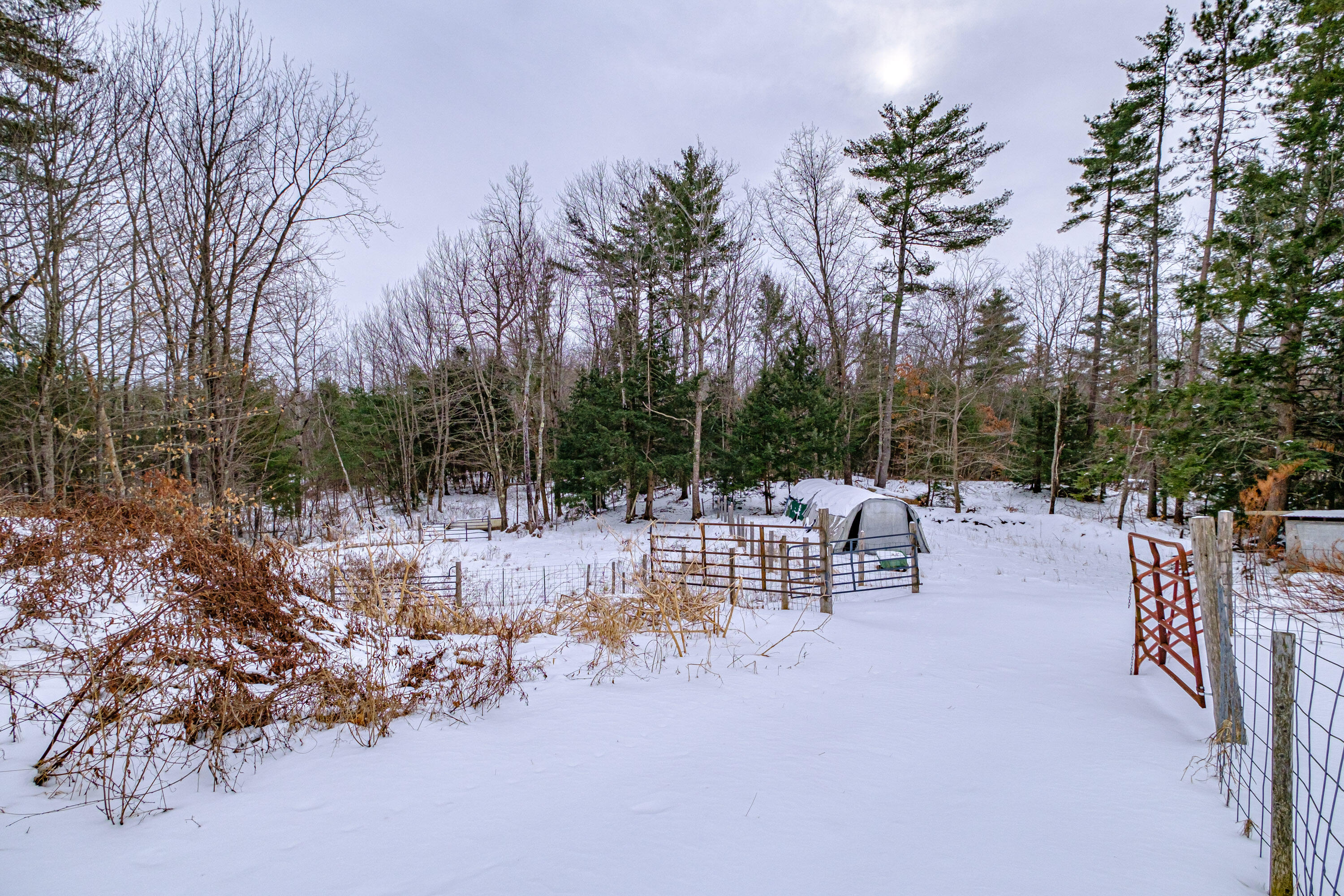 9 Carl Burnell Road East Baldwin, ME 04024 - Photo 93 of 102 20250131gp-61065