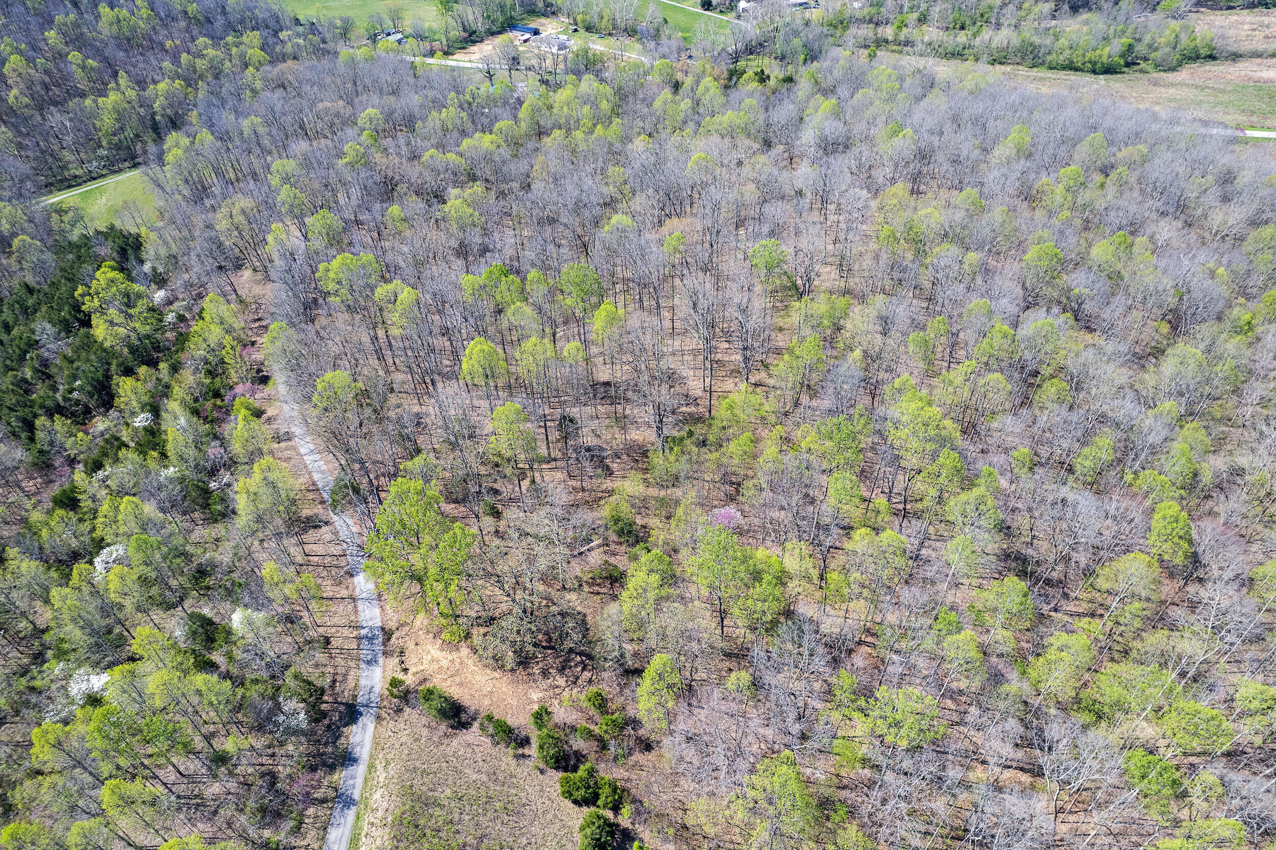 0 Brushy Road Mount Sherman, KY 42764 - Photo 4 of 6 BrushyRd-1
