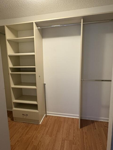 21102 Vía Eden Boca Raton, FL 33433 - Photo 5 of 18 closet