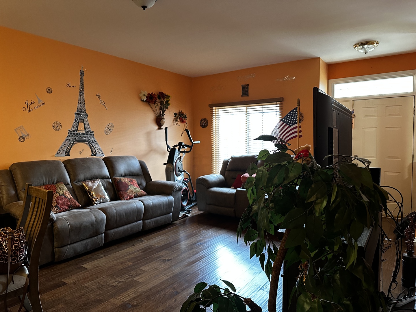 2255 Reflections Drive Aurora, IL 60502 - Photo 8 of 20 a living room with furniture and a flat screen tv