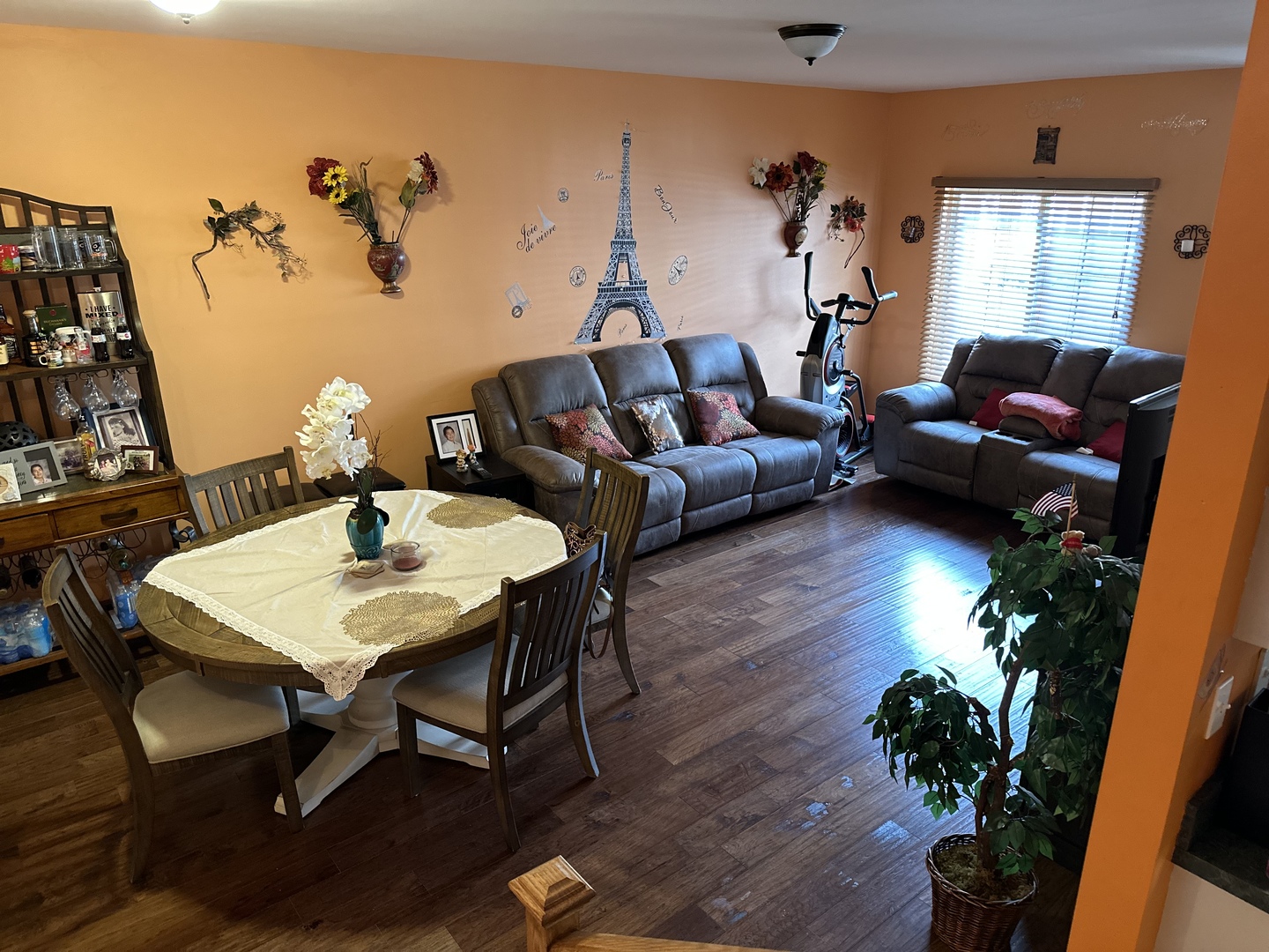 2255 Reflections Drive Aurora, IL 60502 - Photo 9 of 20 a living room with furniture a potted plant and a wooden floor
